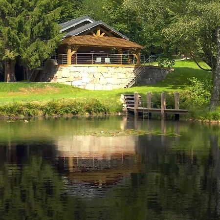 Gite L'Ilet Aux 2 Etangs Saint-Nabord Exterior photo
