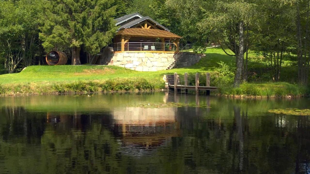 Gite L'Ilet Aux 2 Etangs Saint-Nabord Exterior photo